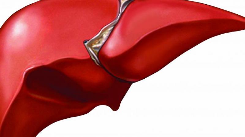 Superior, non-invasive and timely liver care is now possible.