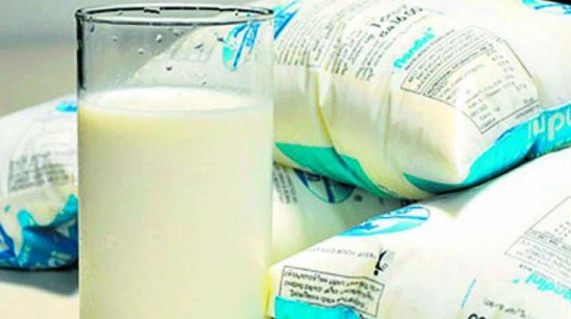Andhra Pradesh Dairy Development Cooperative Federation has issued a â€œcease and desistâ€notice to its Telangana counterpart asking it to stop the usage of its registered trademark Vijaya and cow logo for marketing the latters products. (Representational image)