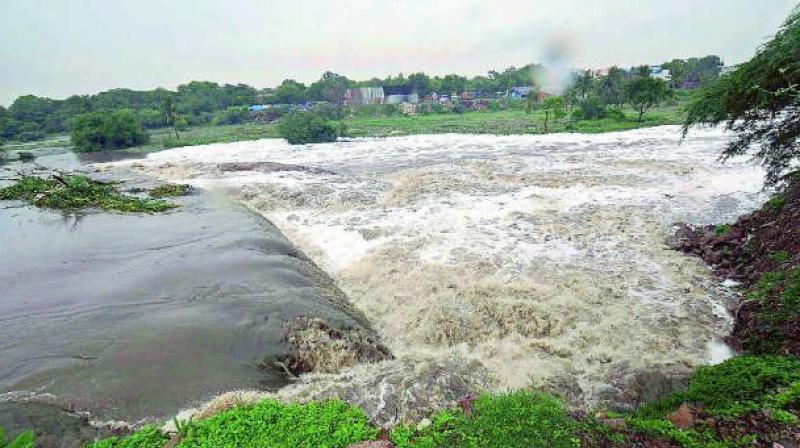 The Telangana state government has opposed the Krishna River Management Boards interim order to release higher share of Andhra Pradesh for the Rabi season.