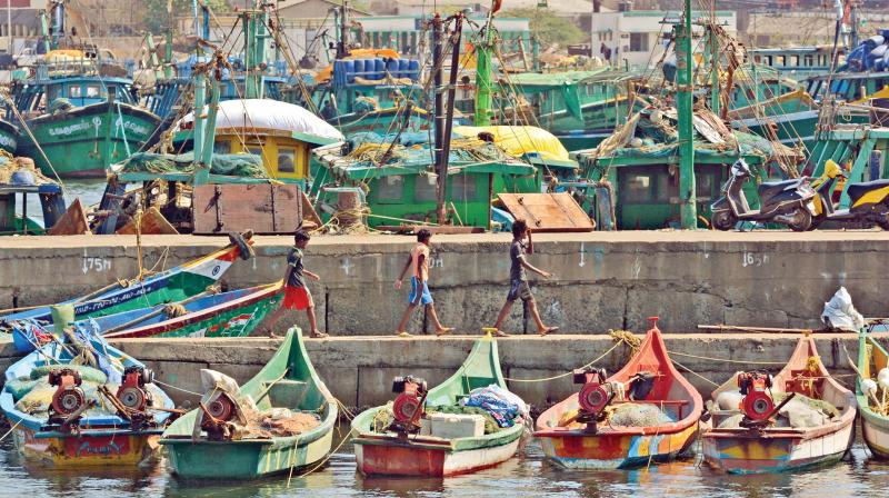 Kasimedu fishing harbour crying for attention from the government. (Photo: DC)