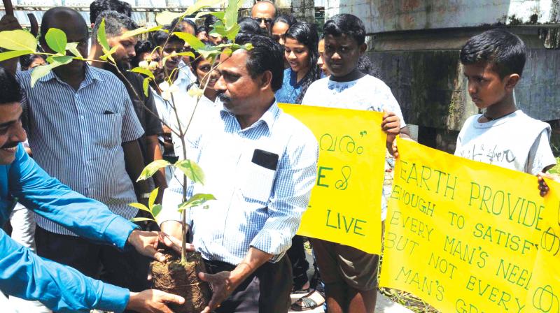 Students joined by officials of various institutions to plant saplings at the 5-acre plot to create a new green lung near Vyttila Mobility Hub on Sunday.