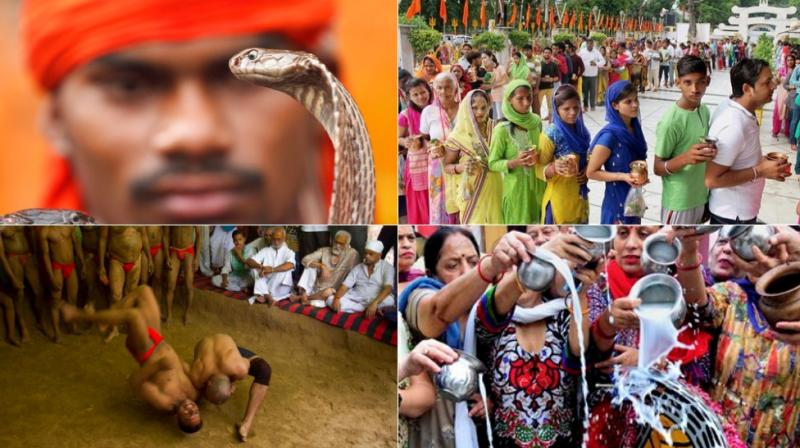 Wrestlers offer prayers; hold bouts to mark Nag Panchami festival in Allahabad