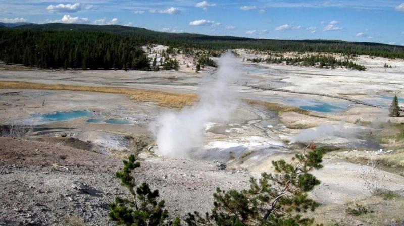 The Yellowstone National Park in the US has lost six per cent of its forests. (Photo: AP)