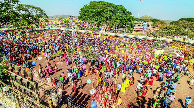 A view of the Sammakka Saralamma