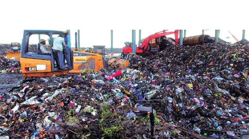The report detected that bikes and cars were used to transport tonnes of waste