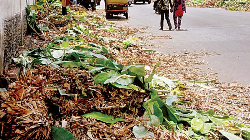 Unsold puja items left to rot in the markets of Bengaluru ( Photo: Shashidhar B)