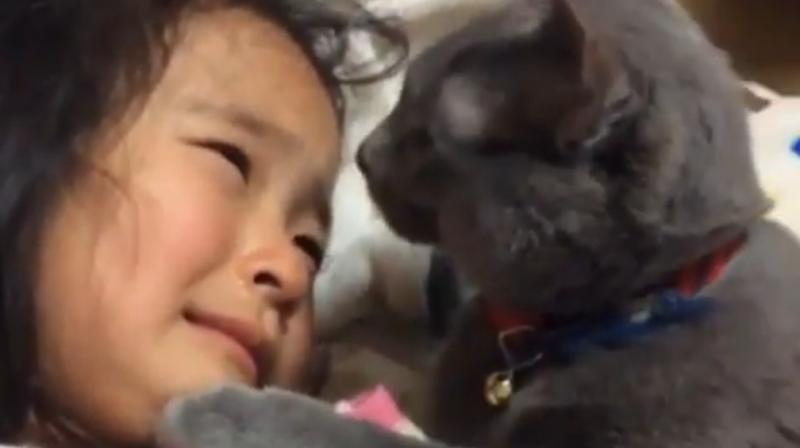 The cat seems to really love this little girl. (Photo: Youtube)