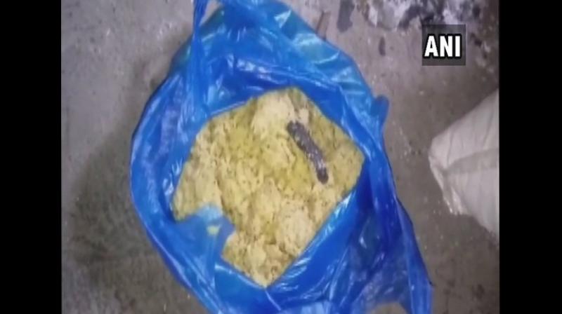 Snake found in Khichdi in government school in Nanded, Maharashtra on Thursday (Photo: ANI))