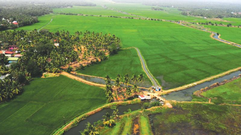 Agitations for land by the landless have become a common occurrence. (Photos by ARUNCHANDRA BOSE and Anup K. Venu)