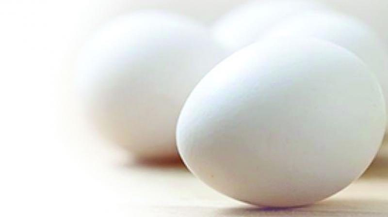Khammam: Now, app to track eggs supplied to anganwadis