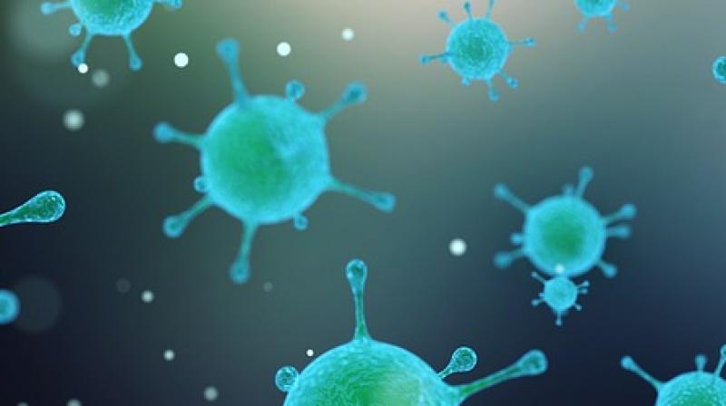 Sclerosis drug could be new weapon against superbugs. (Photo: Pixabay)