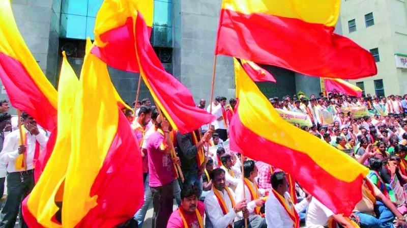 Pro-Kannada organisations took to the streets recently in protest against perceived attempts by the Centre to impose Hindi on Karnataka. Protesters also blackened announcements in Hindi on Namma Metro signages.