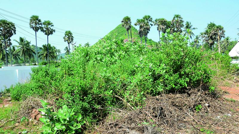 Many vacant lands, particularly those on the city outskirts, have become unauthorised waterbodies and dumping yards covered with overgrown shrubs and bushes.