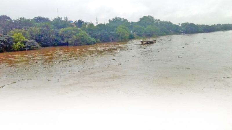 Thamirabarani in full spate at Tirunelveli on Friday. (Photo: DC)