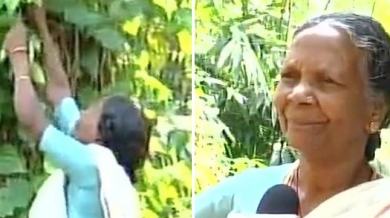 Amma, whose husband died two years back, stays alone in the forest and grows medicinal plants around her house; her two sons passed away and the third one is working in the Railways. (Photo: ANI)