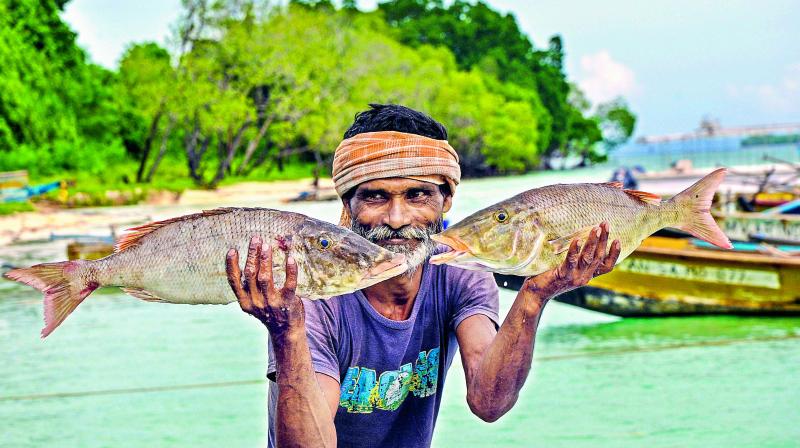 A good humoured fisherman shows off his catch.