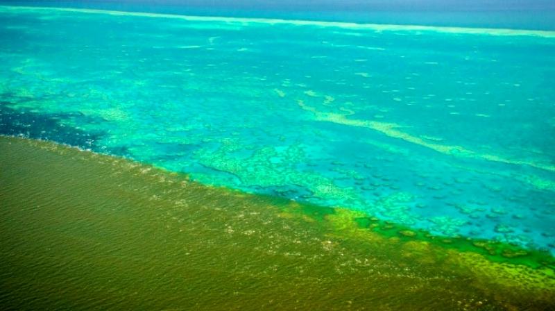A handout photo shows shows sediment caused by unprecedented rain and flooding approaching the the Great Barrier Reef. (Photo: AFP)