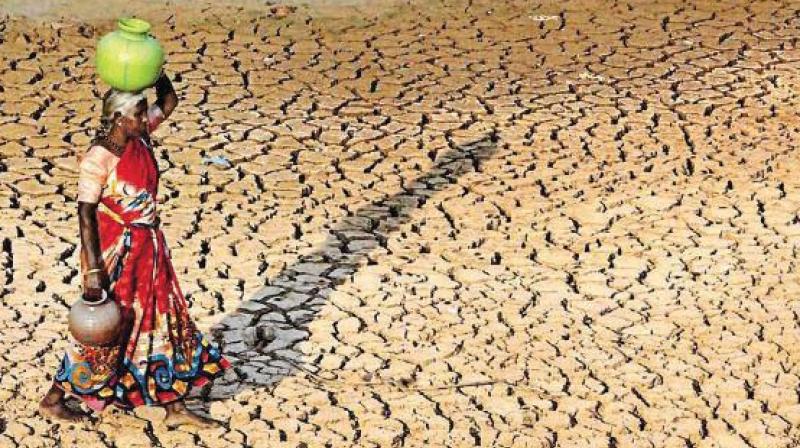 More than half of the country faces high water scarcity. Out of the 1.2 billion people living in the country, about 742 million live and farm in agricultural heartlands.