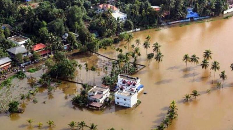 The floods caused loss to the tune of Rs.400 crore for the agriculture sector in Idukki, including the damage due to change in soil structure and loss of micronutrients.