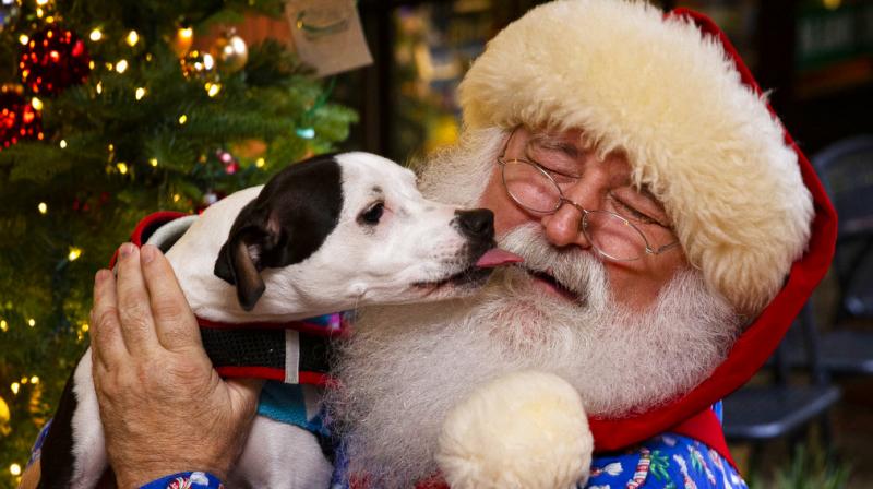 Santa Claus is coming to town: World gears up to celebrate Christmas 2018