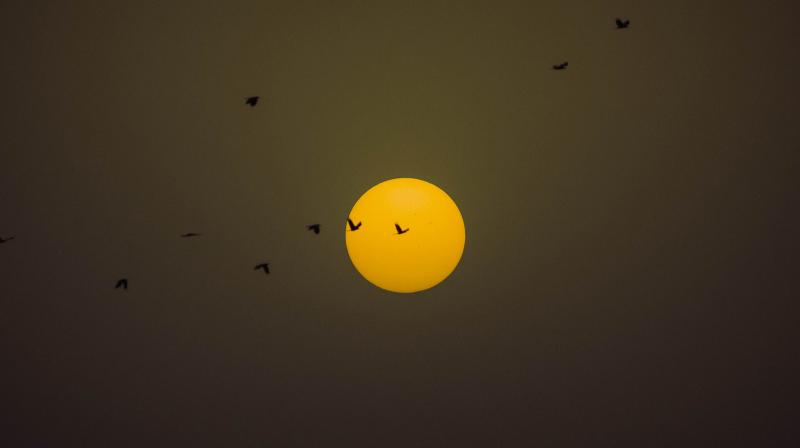 Among proposed ideas, planes might spray clouds of reflective sulphur particles high in the Earths atmosphere. (Photo: Pexels)