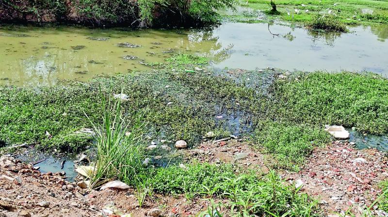 The polluted Meedhikunta lake.