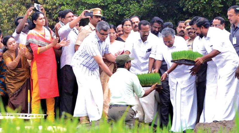 Chief Minister Pinarayi Vijayan inaugurates the planting of paddy saplings at Avala Pandy marshy land at Perambra in Kozhikode on Saturday. Labour and excise minister T.P. Ramakrishnan is also seen. 	(Photo:  DC)