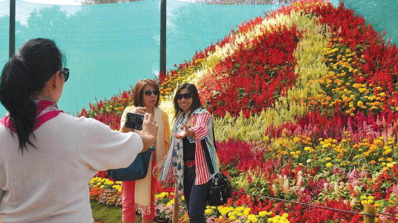 A photograph used for representative purposes that shows nature enthusiasts at the Flower Show in Lal Bagh.