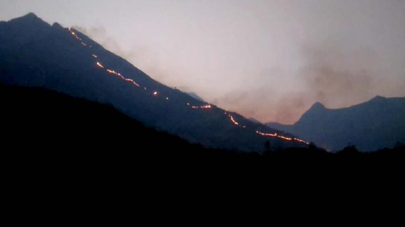 An irregular thin streak of flames indicate the fire in western ghats range bordering TN and Kerala. (Photo: DC)