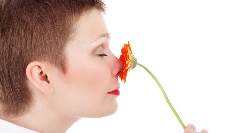 The findings showed a clear link between a womans olfactory ability and her overall social life score. (Photo: Pixabay)