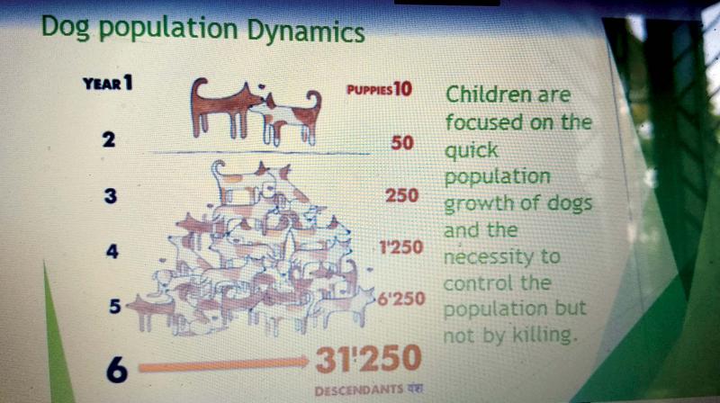 Dog  population dynamics. 	Image: DC