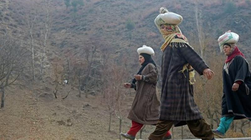 Women walk with knapsacks on their heads, on a cold morning at Kokarnag in Anantnag Distrrict of South Kashmir on Monday. (Photo: PTI)