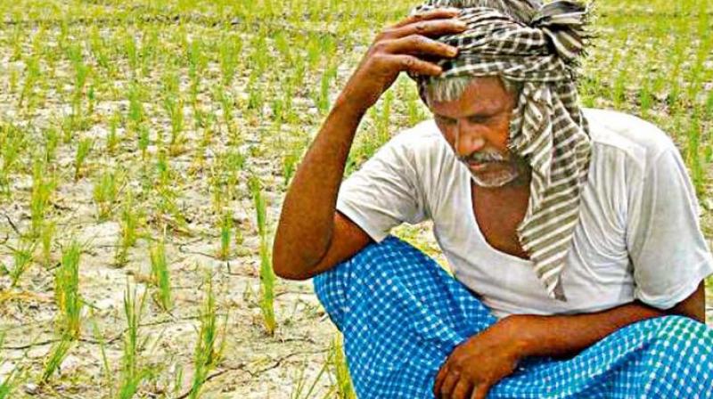 With experiments, schemes and measures like cloud seeding not alleviating the drought situation in the district, at least 223 debt-ridden farmers have committed suicide since June 16, 2014 till October 19 this year in Anantapur district alone.