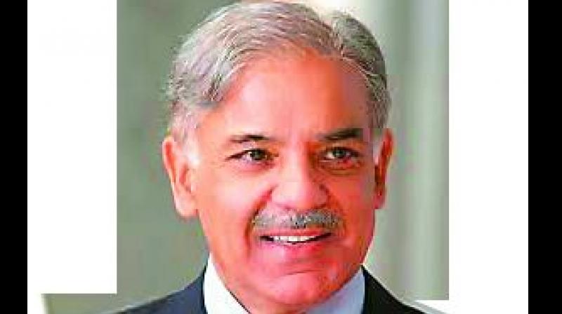 The ruling Pakistan Muslim League (Nawaz) on Tuesday elected Punjab Chief Minister Shahbaz Sharif as the acting President, replacing older brother Nawaz Sharif who was disqualified by the Supreme Court.