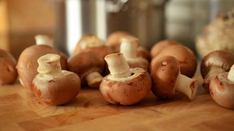 The more common mushroom types, like the white button, had less of the antioxidants, but had higher amounts than most other foods (Photo: Pixabay)