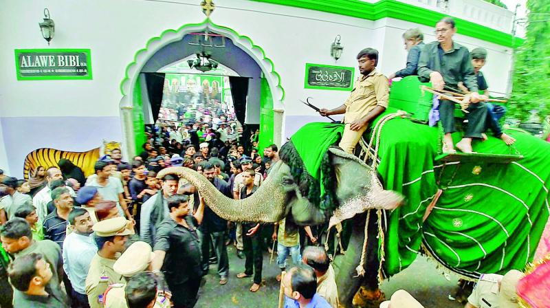 Twice a year, the elephant is taken out once during the Muharram procession and another time during the Bonalu procession both in the old city.