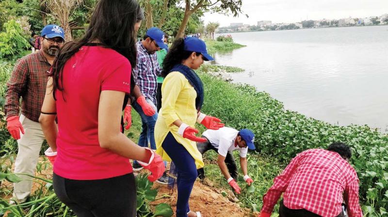 Employees from the I-T department at the clean-up drive at Madiwala Lake   (Image: DC)