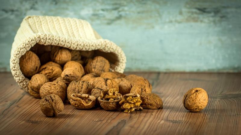 Omega-3 fatty acids, which are necessary for human health is found in walnuts (Photo: Pixabay)