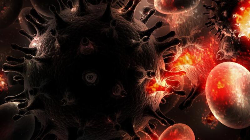 Researchers have found immune system may keep body from neutralizing HIV-1 virus (Photo: Pixabay)