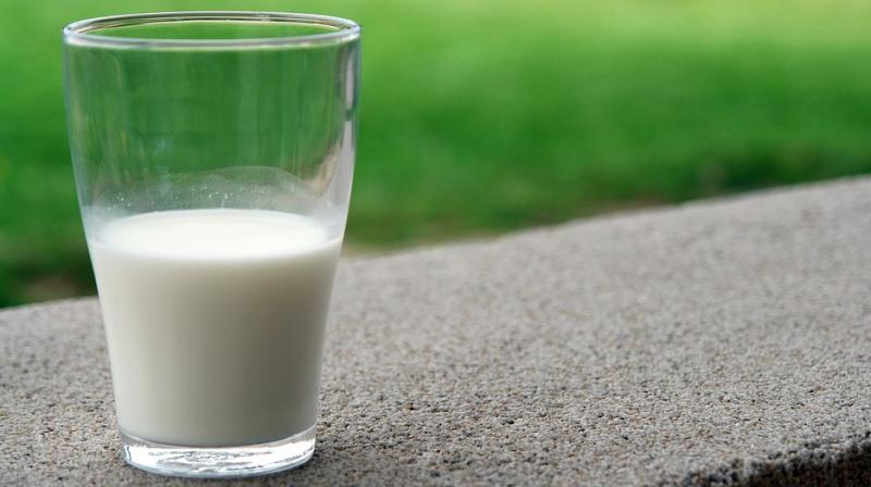 people with cancer experience digestive upset when having milk, but kefir has no such negative effect (Photo: Pixabay)