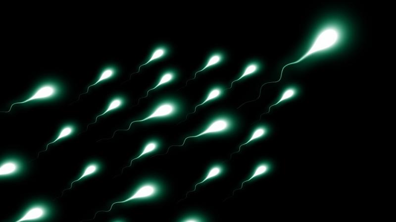 Study revealed that Sperm counts in men from America, Europe, Australia and New Zealand have dropped by more than 50 percent in less than 40 years (Photo: Pixabay)