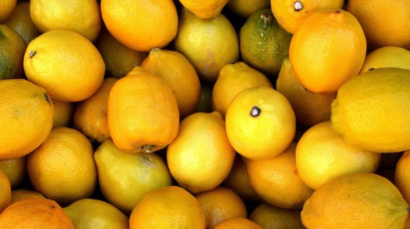 Farmer skilfully determines size of lemons with sticks. (Photo: Pexels)