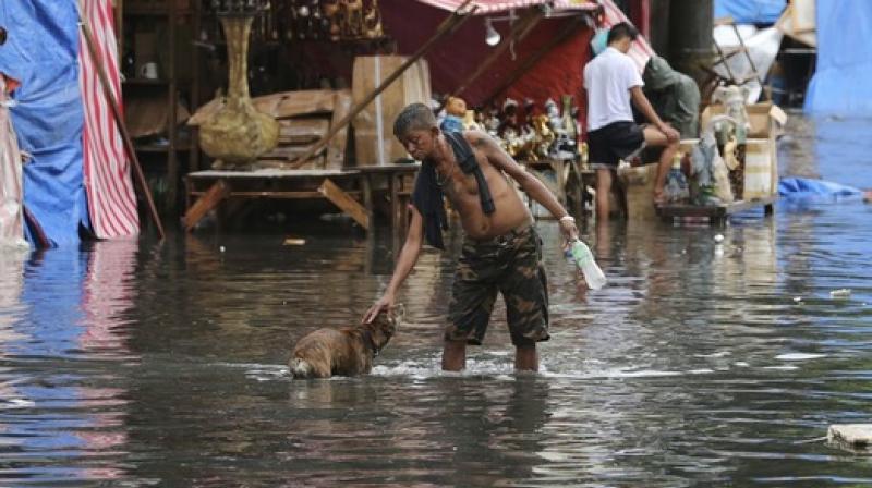 A man pets a dog along a flooded street caused by rains from Typhoon Nock-Ten in Quezon city, north of Manila. (Photo: AP)