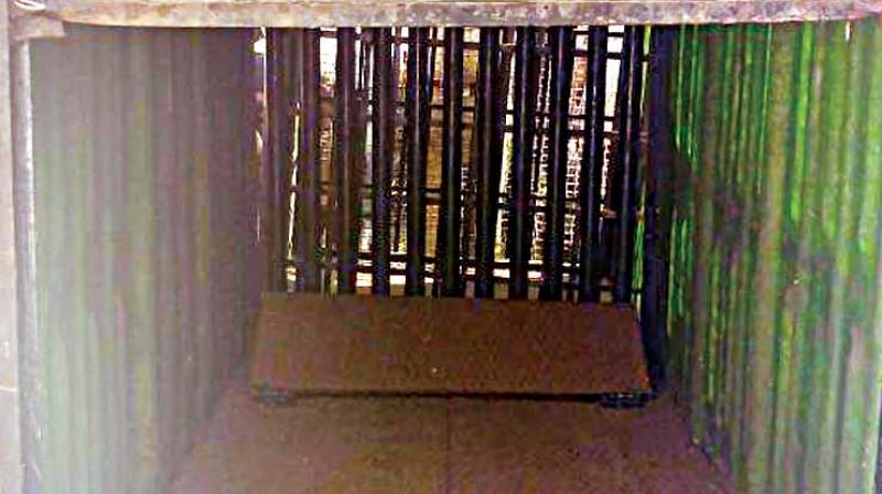A cage kept to trap the tiger