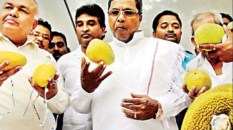 Former CM Siddaramaiah and former minister Ramalinga Reddy in a file photo