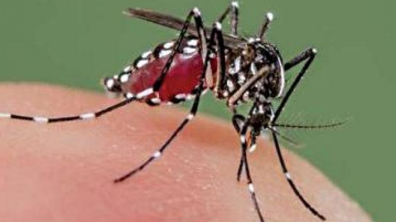 Government hospitals are running short of beds due to the increase in the number of dengue patients. (Representational image)