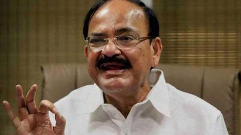 Please keep it in mind that in future the question has to be crisp and the answer also has to be sharp and to the point, Venkaiah told the members. (Photo: PTI/File)