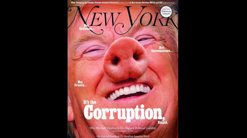 Trump has been a target  himself: On the cover of its April 2 issue, New York magazine depicted the President as a pig.