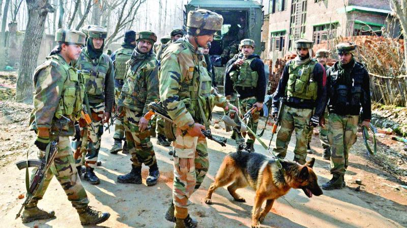 Army personnel along with a sniffer dog at Frisal area of Kulgam district in south Kashmir on Sunday 	(Photo: PTI)