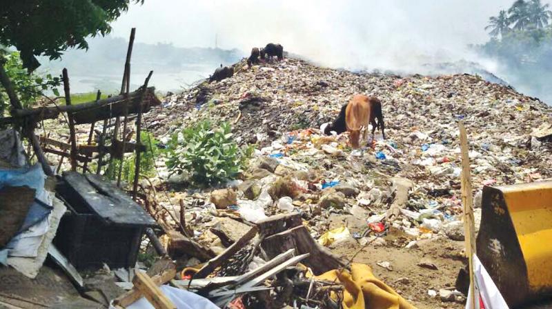Burning of waste at Moovarasampet lake continues, despite an order from National Green Tribunal  opposing the act. (Photo: DC)
